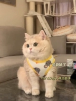 Микки Маус (сделка с печати)