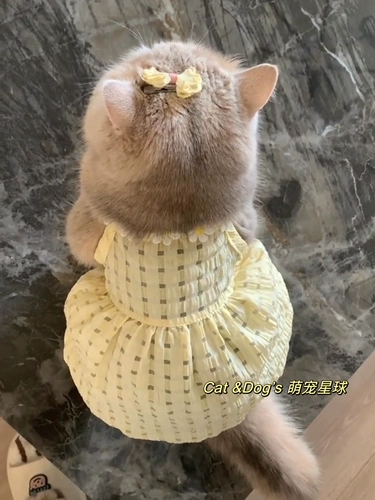 Летняя юбка, шнурок-держатель, тонкое милое платье