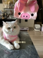 Розовая свинья (Чун Тянь Хуахуа)