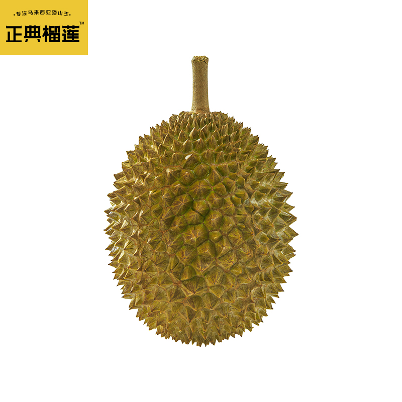 (Global purchase selection) Classic Malaysia D197 Cat Mountain King Liquid Nitrogen Durian Whole Fruit 2 4-4 Catwalk 3 Room-Taobao