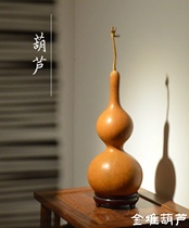 One thing one picture natural sub-waist gourd medium-sized gourd office home furnishings old gourd