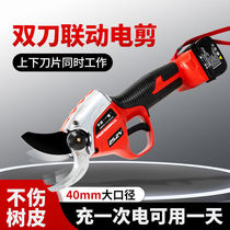 Nakamura Ichiro double-blade electric scissors fruit tree pruning shears rechargeable lithium battery gardening scissors labor-saving thick branch shears