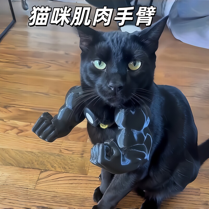 Cat Muscle Arm Boxing Pendant Creative Pet Decoration 3D Printed Small Ornament