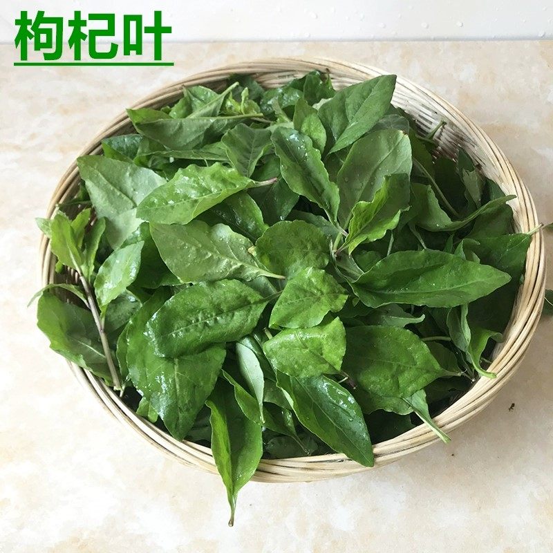 新鲜枸杞叶,煮汤养生新风尚🌿,福建直发,500g装,尝鲜必备!-叶菜类-淘宝百科网