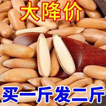 (Big price reduction) New arrival hand-peeled Brazilian pine nuts large granules canned 500g nut snack gift pack 250g