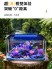 Gold Crystal Ultra-Clear Glass Back-Filter Fish Tank, Small Living Room Model 2025, New Filter and Oxygen Generator All-In-One Ecological Landscaping Tank