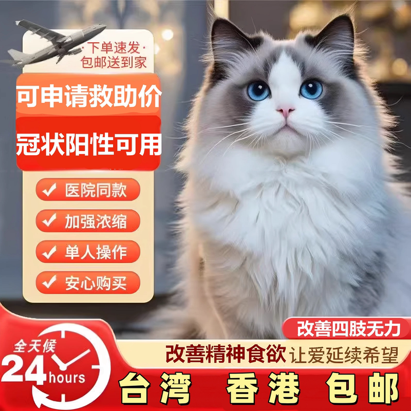 【Sf Express Free Shipping】Cat Coronavirus Oral Tablets, Injectable Medicine, Dry and Wet Oil Solutions, Liquid Solutions 【Sf Express Free Shipping】Cat Coronavirus Oral Tablets, Injectable Medicine, Dry and Wet Oil Solutions, Liquid Solutions
