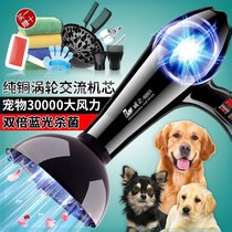 Pet Shop Pooch Hair Dryer Bragger Hair God Instrumental Speed Dry Integrated Bath Special High Power Large Dog Pet Dog