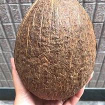Natural coconut shell Henan opera board Hu Qin opera musical instrument coconut shell raw material direct sales