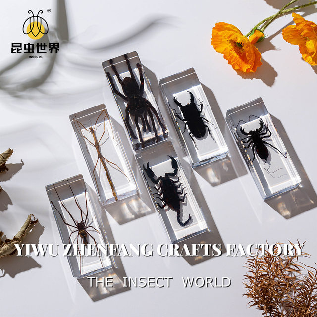 Real Resin Insect Specimens, Real Insects, Beetles, Spiders, Leaf Beetles, Moths, Scorpions, Mantis, Lizards, Amber Specimen Ornaments