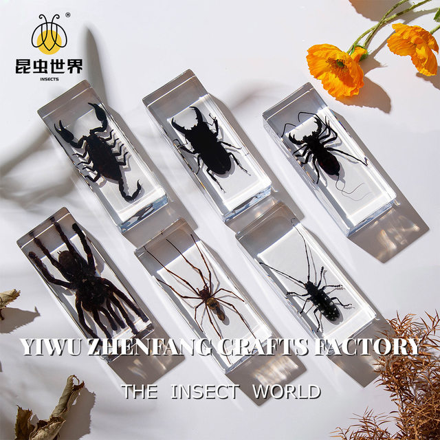 Real Resin Insect Specimens, Real Insects, Beetles, Spiders, Leaf Beetles, Moths, Scorpions, Mantis, Lizards, Amber Specimen Ornaments