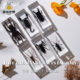 Real Resin Insect Specimens, Real Insects, Beetles, Spiders, Leaf Beetles, Moths, Scorpions, Mantis, Lizards, Amber Specimen Ornaments