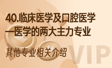 40.临床医学及口腔医学——医学的两大主力专业-吾爱张雪峰