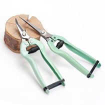 Picking grapes oranges peppers citrus scissors stainless steel tilt-head fruit-picking scissors tomato elbow-picking scissors