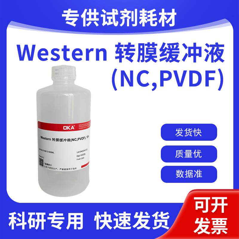 Western 转膜缓冲液(NC,PVDF), 10&times; 即用试剂 水试剂