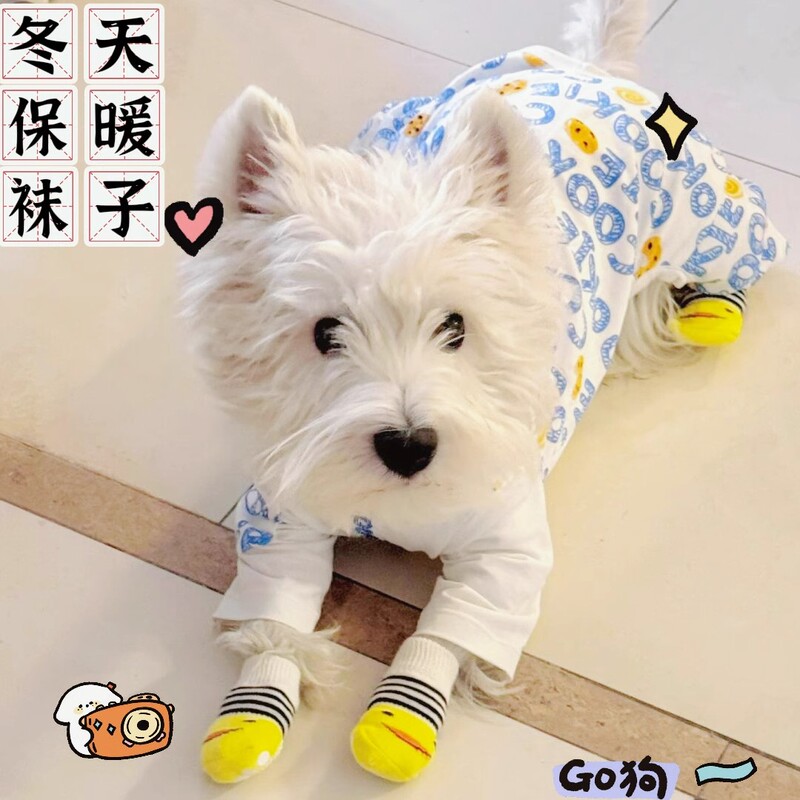 Dog Socks and Booties, Non-Slip, Anti-Scratch, New Year Paw Covers, Teddy, Bichon, Corgi, Cat Shoes, Pet Supplies