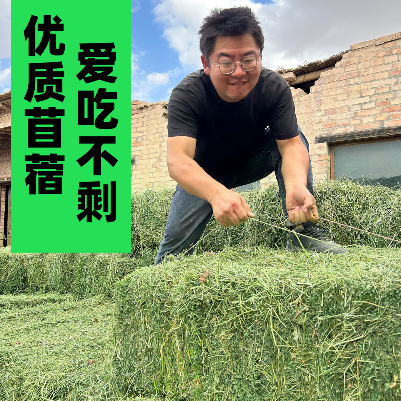 【2026 New Grass】Alfalfa Hay Zoo Alpaca Feed Sheep Horse Giraffe Forage Purple Alfalfa