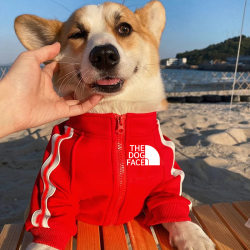 Dog clothes 2024 New arrival Fall and winter Teddy than bear Bomei big Small Size Dogs dogface Trendy dog Sweatshirt