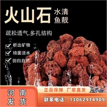 Henan volcanic stone fish tank pavement aquarium fish farming filter stone volcanic rock green plant nutrient soil natural pavement