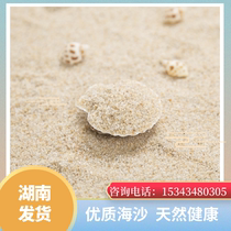 Hunan natural sea sand fine sand child baby playing sand fish tank sand pool sand building with white sand beach sand and sand pit