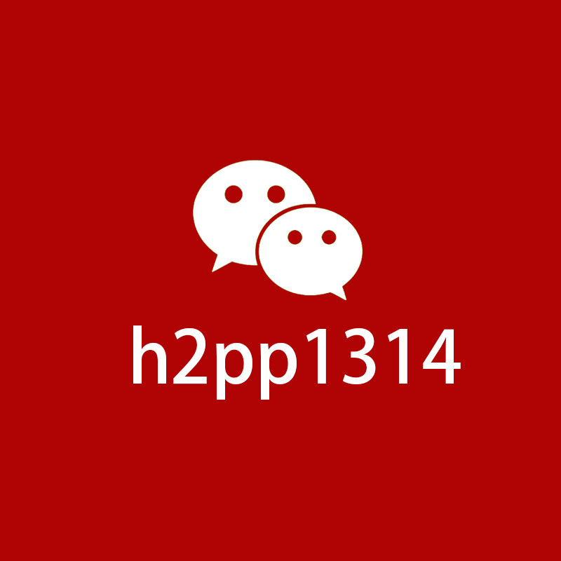 威新h2pp1314的LOGO