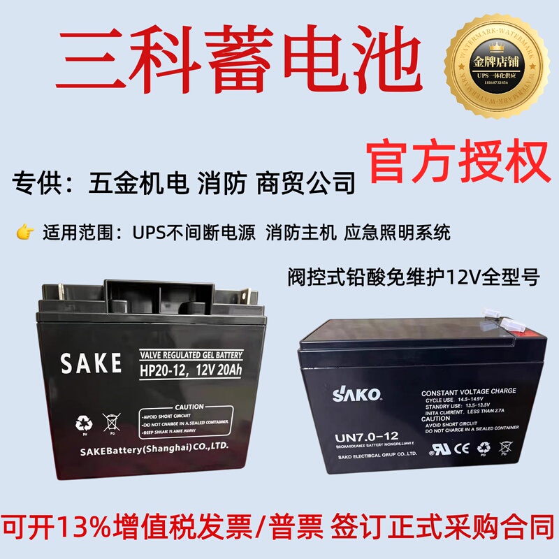 Sake Three-Cell Battery 12V7A12A17A24A38A65A100A Computer Room Ups Emergency Power Supply Eps Fire Protection