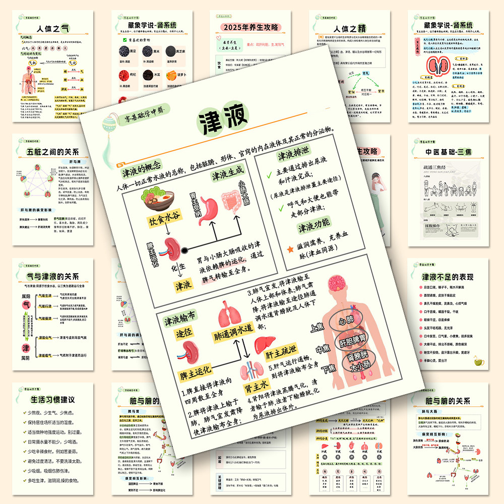 【健康养生小知识】96张中医养生贴纸国粹古法疗养创意装饰笔记本