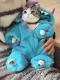 Четырехлетные Frankoat Blue Monsters [Cat Pajamas] xs (длиной 20 см) 2-3 кот