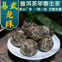 Yiwu Puer Tea Raw Tea Dragon Ball 2023 Early Spring Big Tree Tea Mini Xiaotuo Tea High Quality Ration Tea Bags