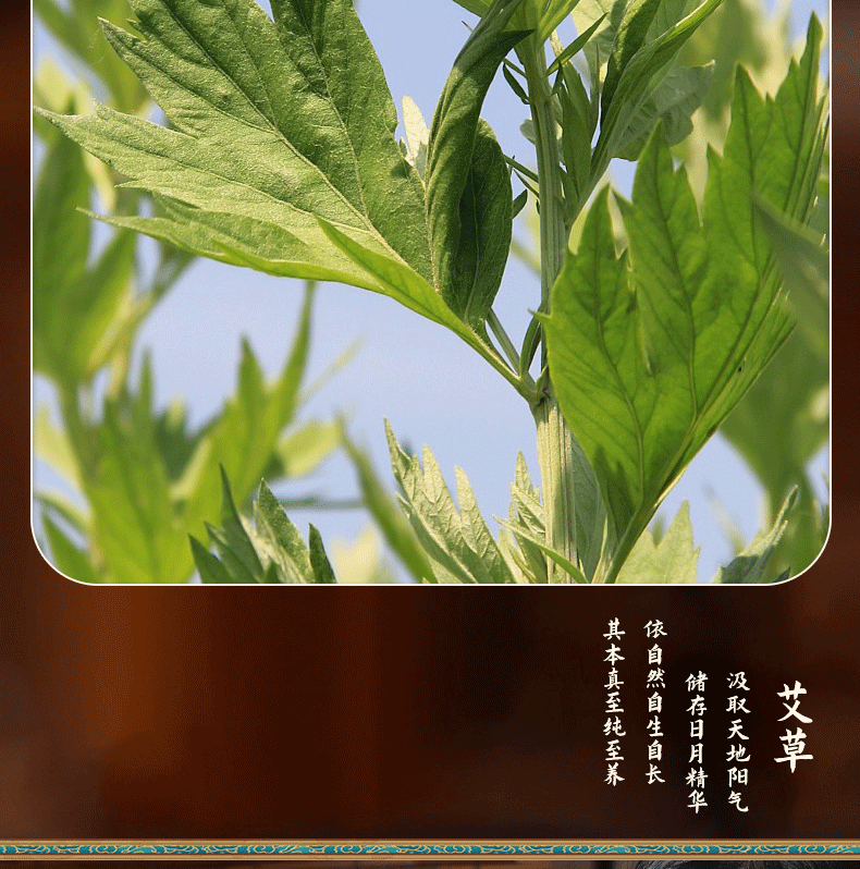 Moxa Stick Ai Zhu 艾柱 Moxibustion Column for Warming Massage and Heat Therapy Home Use overview