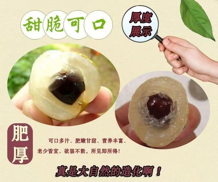 O1CN01YuVosF1VlRVl4GGAy_!!2216878912693.jpg