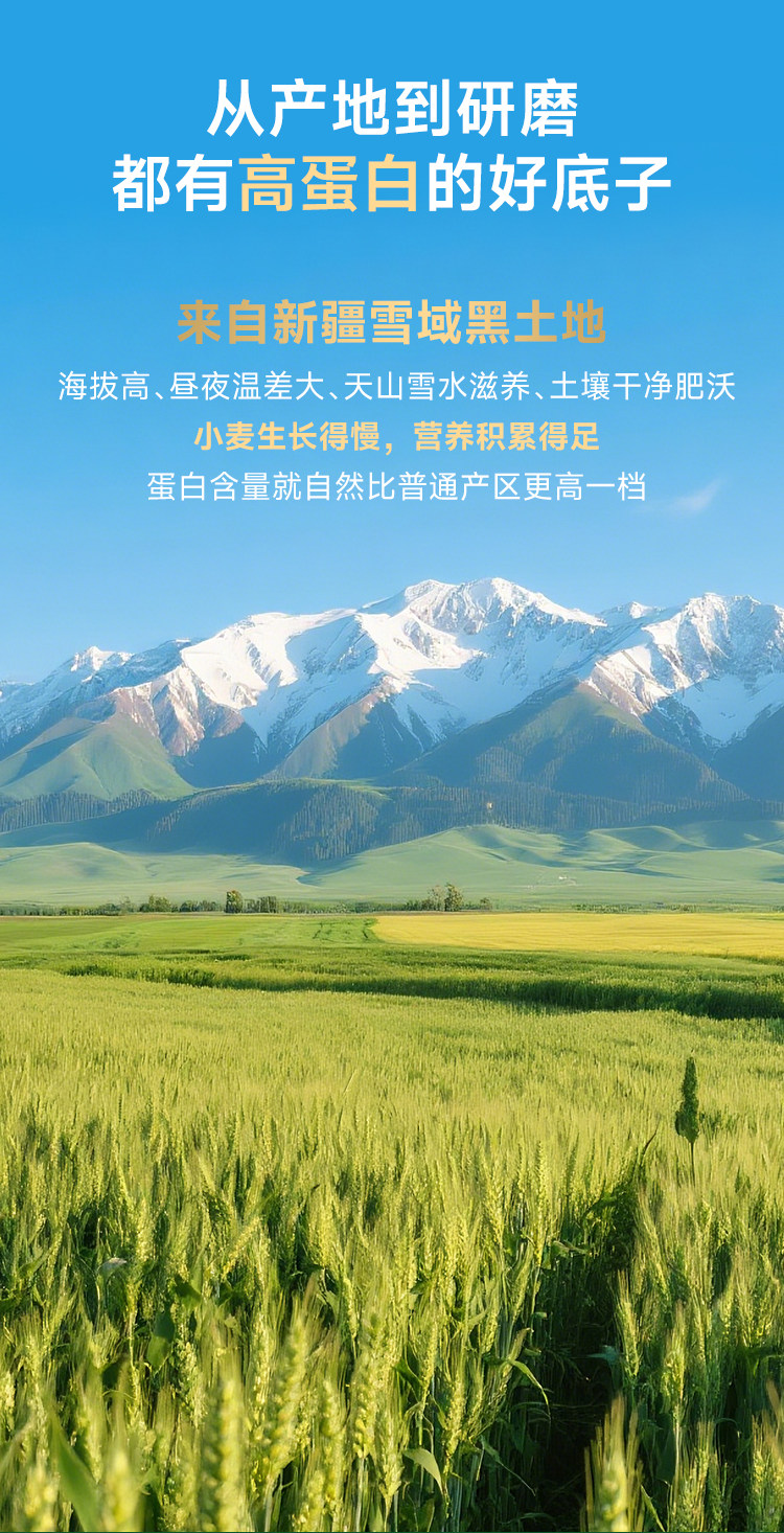 安享好物 安享S级小麦面粉-金准有机 高蛋白小麦粉 国标 