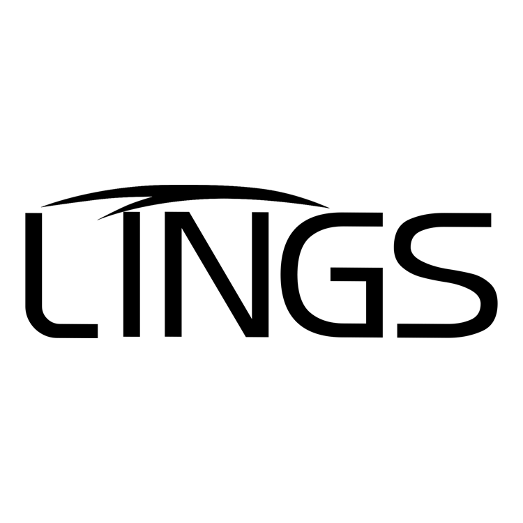 零声高速吹风机的LOGO