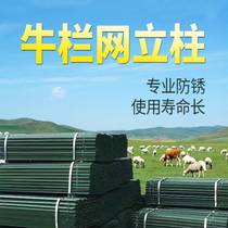 2-5 m fence Y type upright post in the shape of a