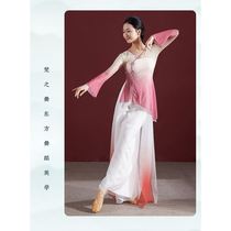 Classical dance gauze clothes with gradient perm and rhyme exercise clothes for women elegant Chinese dance tops art test performance clothes