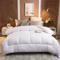 High-end thick quilt in winter thickened over 10 pounds winter quilt thickened and warm single and double student dormitory