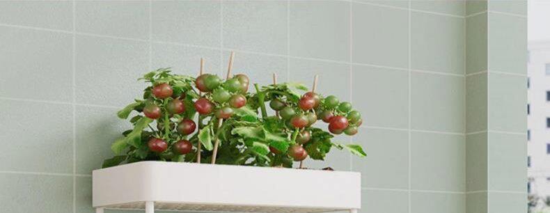 Балкон стойки 阳台种菜神器多层小推车置物架厨房蔬菜篮家用种菜专用盆缝收纳架
