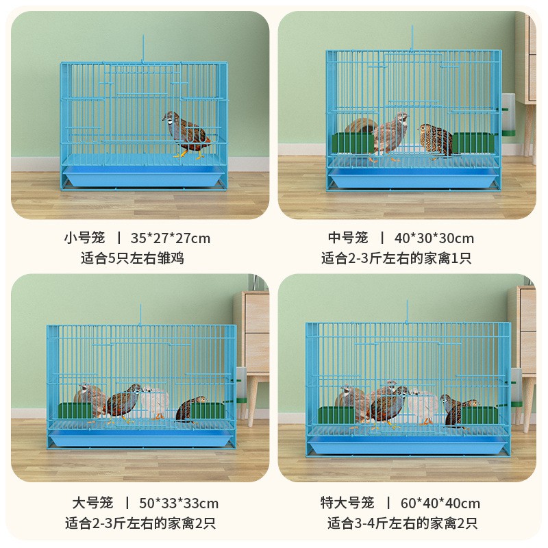 小宠出行：便携式防越狱笼子背后的创新设计