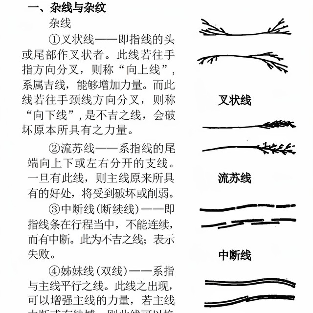 Hand Reading: Chen Dinglong's Illustrated Guide to Palm Prints and Fingerprints in Simple Chinese (2 Volumes) - Ancient Books on Palm Diagnosis and Prediction