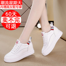 Trendy Sunday height-increasing womens shoes 2024 mesh shoes new platform thick-soled casual shoes manufacturer niche design