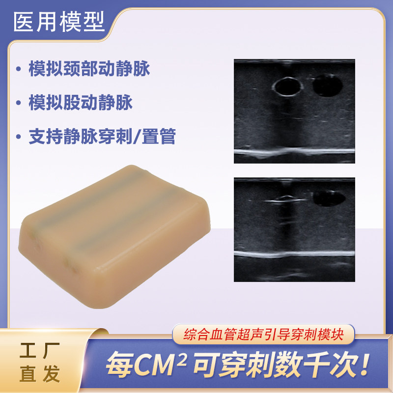 超声引导下血管穿刺模型颈部/股动静脉picc置管B超介入训练小模块