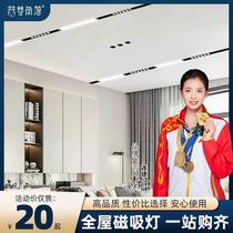 Magnetic suction track lamp Embedded new ultra-thin dark hide No main lamp Living room Lighting for home Ming Lamp Spotlight Floodlight