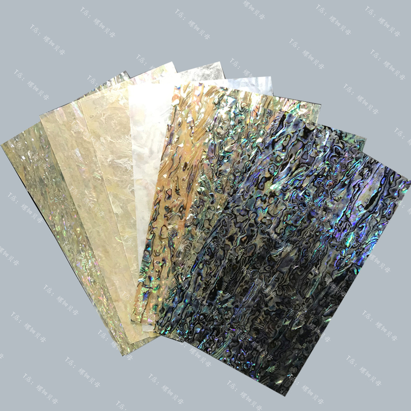 New Zealand Mexican Abalone Shell Oil Flower Multicolored Pearl Oyster Green Oyster White Oyster Black Butterfly Oyster Scallop Penguin White Abalone