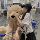 Сэм собака плюшевая игрушка золотистый ретривер кукла Большой медведь кукла большая распечатанная гигантская кукла девочка подушка для сна mini 3