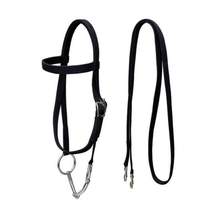 Double-layer water rein bit iron halter bit webbing horse special fork strengthen ring bit chewing reins