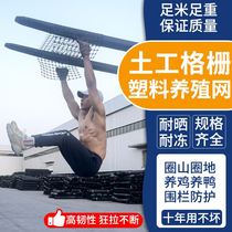 Customized breeding net for chicken and duck brooding leakage net plastic breeding net geogrid chicken net corn solidification net