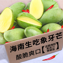 Свежая Кислота Хрустящий Сырой Манго Hainan Ivory Mang Fruits Mango Bud Green Mango Acid Wild Curing Mango 5 Cati