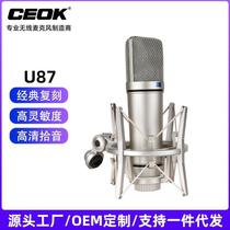 Customized internet celebrity model U87 condenser microphone anchor set recording microphone e-commerce hot