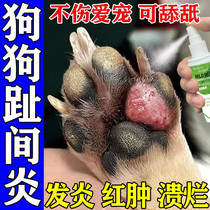 Dogs toe-to-toe fungal infection Pets toenails red swollen rumps Pruritus Pruritus Pruritus for external cat Doodontitis Special