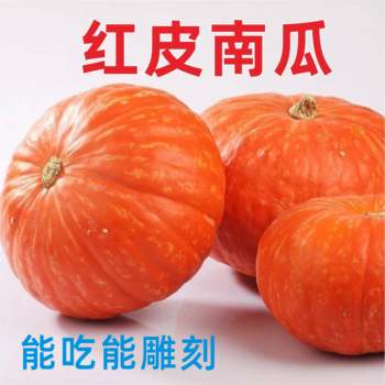 Fresh red pumpkin, low sugar pumpkin, baby food supplement, japanese pumpkin, old pumpkin, halloween pumpkin lantern, 5 jin jin is equal to 0.5 kg